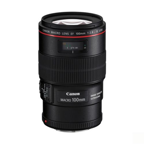 Las mejores ofertas en Lentes de cámara teleobjetivo Canon f/2.8