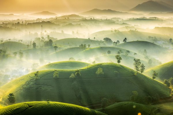 Las mejores fotografías de Weather Photographer of the Year 2020