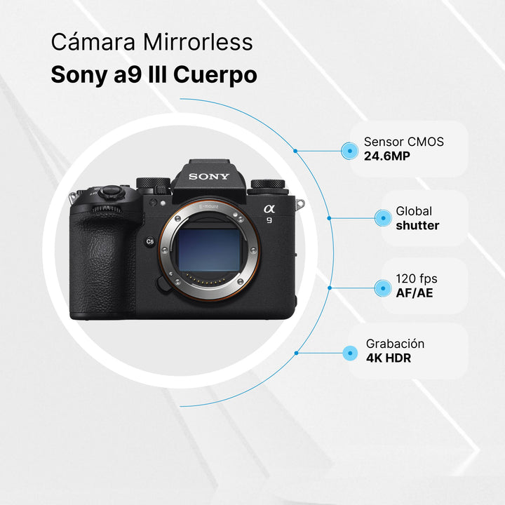 Sensor Nikon Z6ii Dxomark Dxomark Z6 Dynamic Range Camerarace