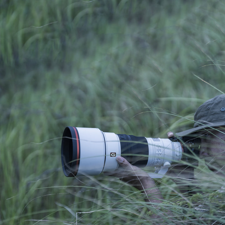 Lente Sony E 300mm F/2.8 GM OSS - Profoto